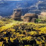 UNESCO evaluaría impacto de incendio en Rapa Nui